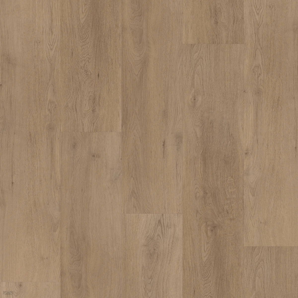 Bodiax BP400 Ivar Hydro