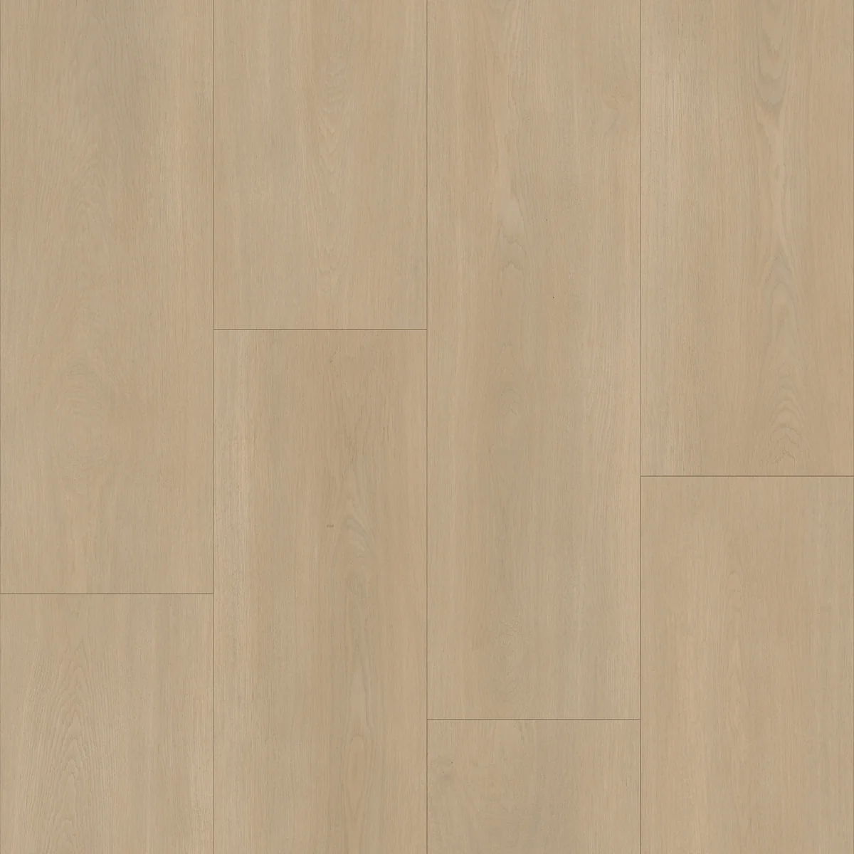 Bodiax BP590 Royal Hydro