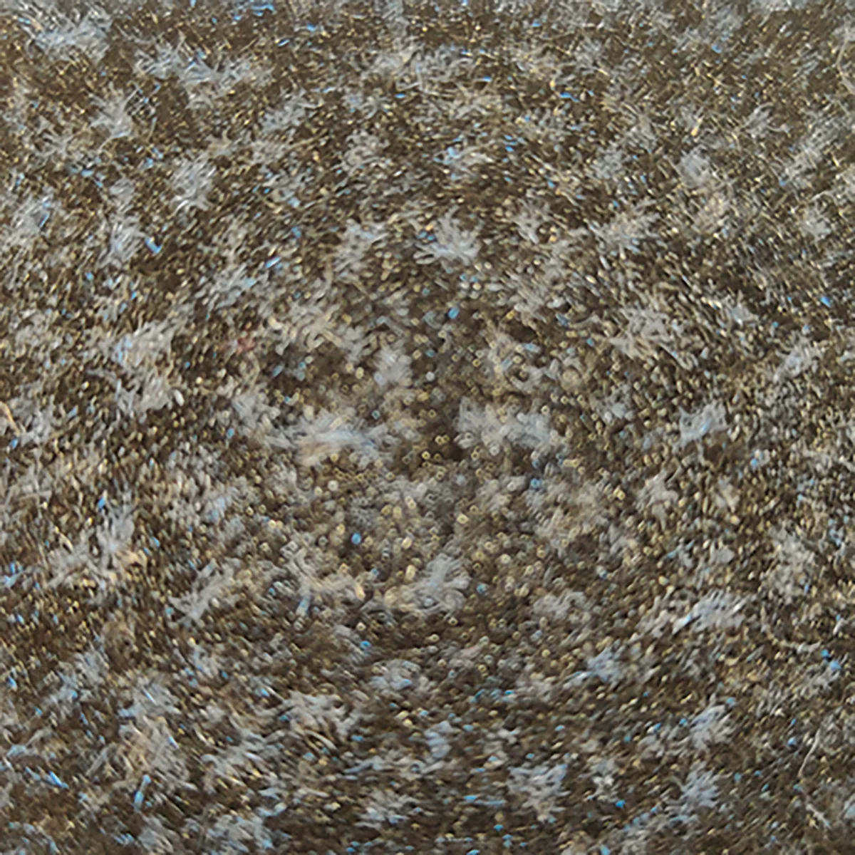 Bodiax schoonloopmat Praag 200 cm. 09 antraciet