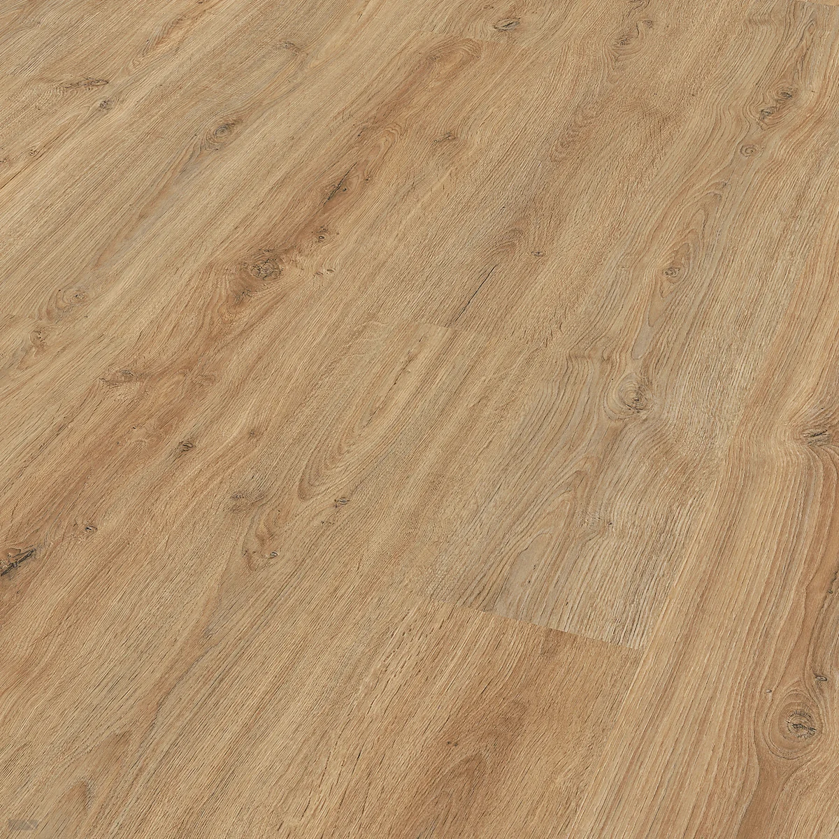 Meister LC150 Multiclic Eik Nova 06413